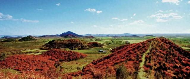 中秋国庆游京郊|打卡“北京网红打卡地”——顺义区篇