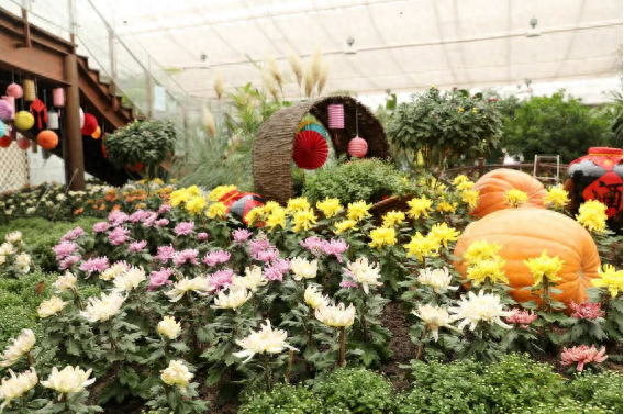 中秋国庆游京郊|打卡“北京网红打卡地”——顺义区篇