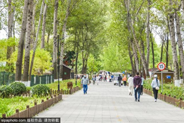 中秋国庆游京郊|打卡“北京网红打卡地”——顺义区篇