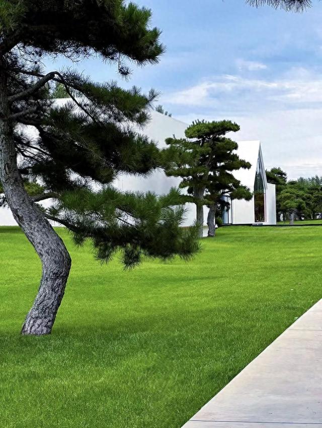 中秋国庆游京郊|打卡“北京网红打卡地”——顺义区篇