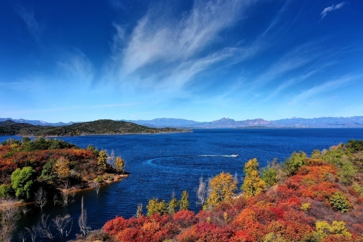 1620915867554306.png?x-oss-process=style/w10 图片3.png?x-oss-process=style/w10