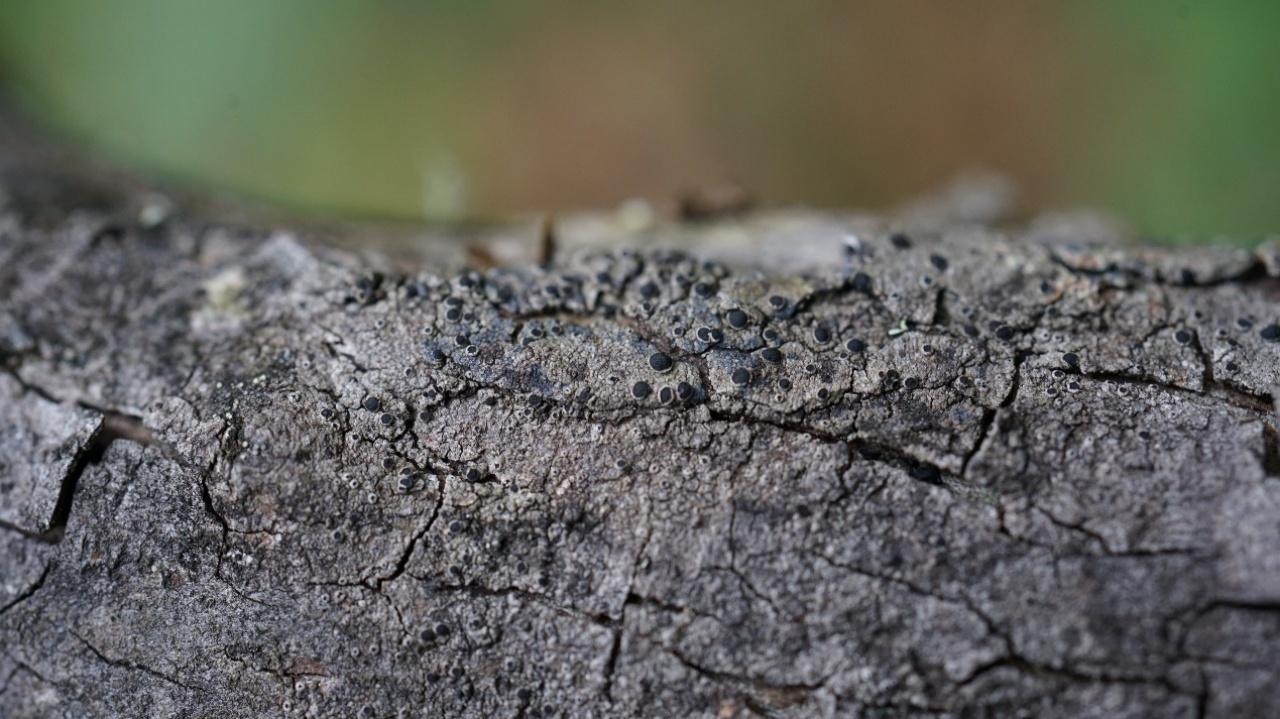 1685419213927937.png?x-oss-process=style/w10 image.png?x-oss-process=style/w10