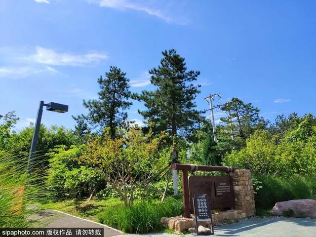 夏日“森”呼吸(下)| 周末城市漫步之旅