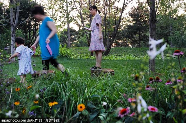 夏日“森”呼吸(下)| 周末城市漫步之旅