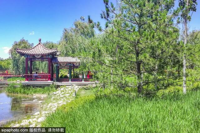 夏日“森”呼吸(下)| 周末城市漫步之旅