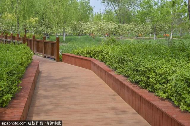 夏日“森”呼吸(下)| 周末城市漫步之旅