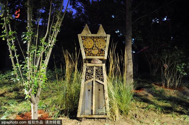 夏日“森”呼吸(下)| 周末城市漫步之旅