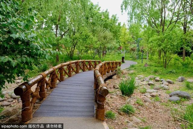 夏日“森”呼吸(下)| 周末城市漫步之旅