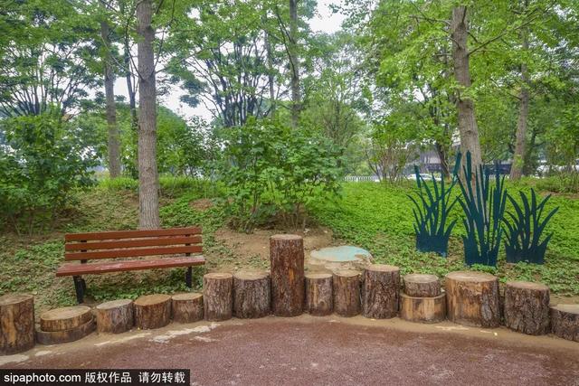 夏日“森”呼吸(下)| 周末城市漫步之旅