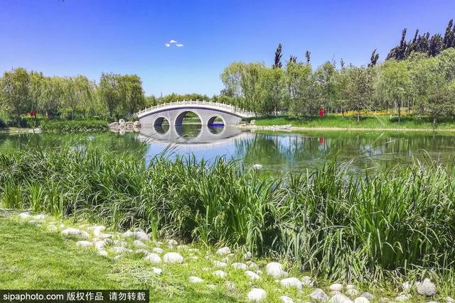 夏日“森”呼吸(下)| 周末城市漫步之旅