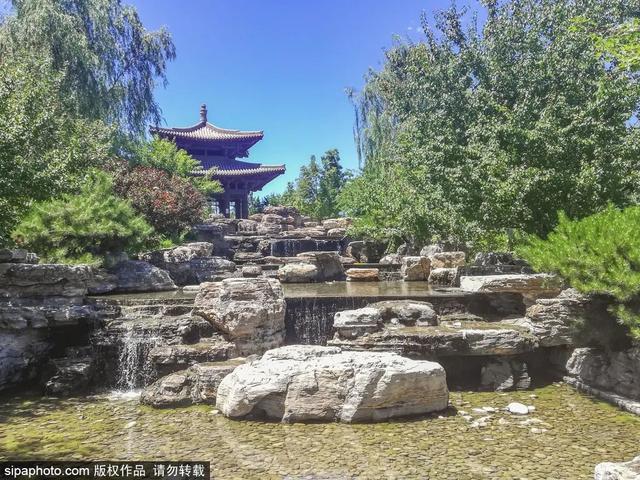 夏日“森”呼吸(下)| 周末城市漫步之旅