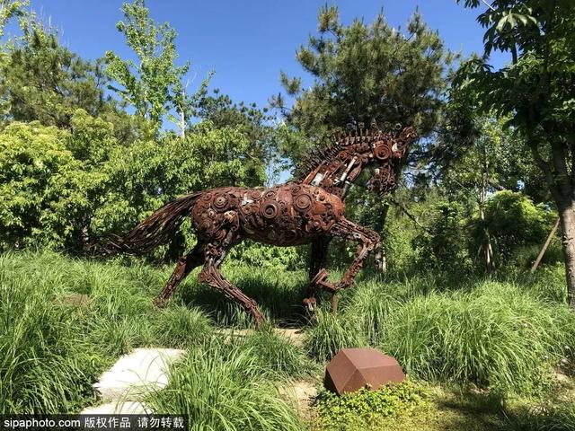 夏日“森”呼吸(下)| 周末城市漫步之旅
