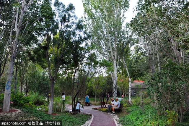 夏日“森”呼吸(下)| 周末城市漫步之旅