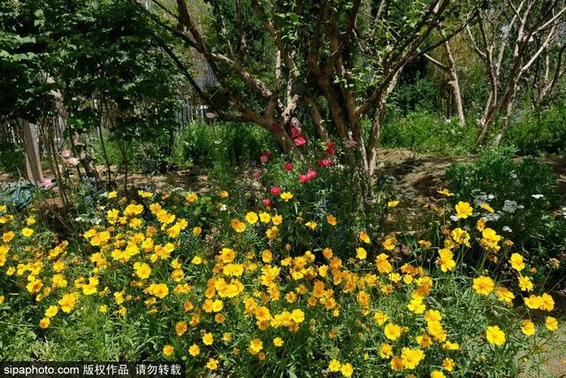 夏日“森”呼吸(下)| 周末城市漫步之旅