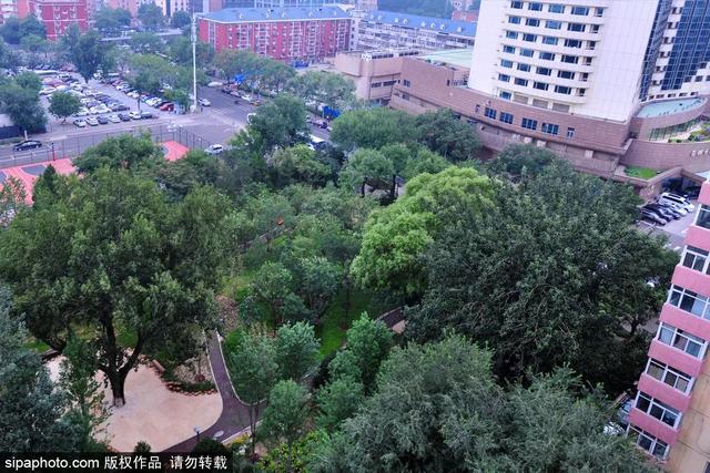 夏日“森”呼吸(下)| 周末城市漫步之旅