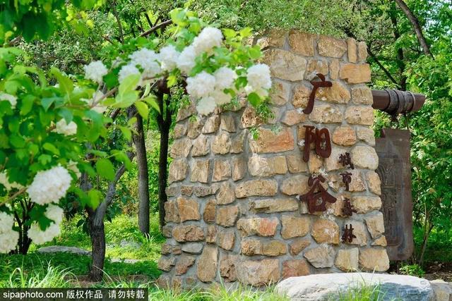 夏日“森”呼吸(下)| 周末城市漫步之旅