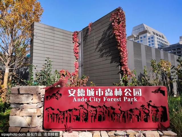 夏日“森”呼吸(下)| 周末城市漫步之旅