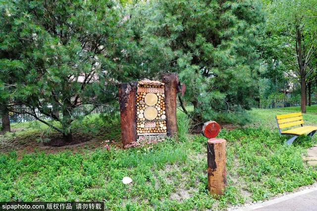 夏日“森”呼吸(下)| 周末城市漫步之旅