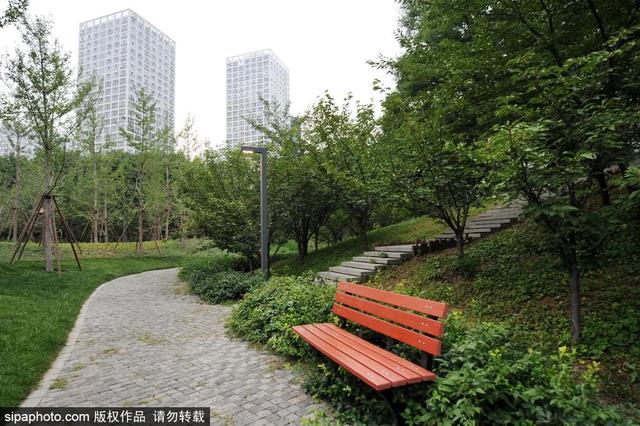 夏日“森”呼吸(下)| 周末城市漫步之旅