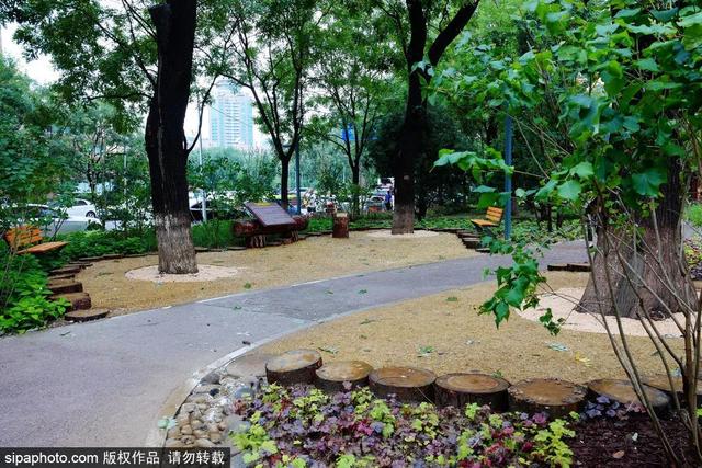 夏日“森”呼吸(下)| 周末城市漫步之旅