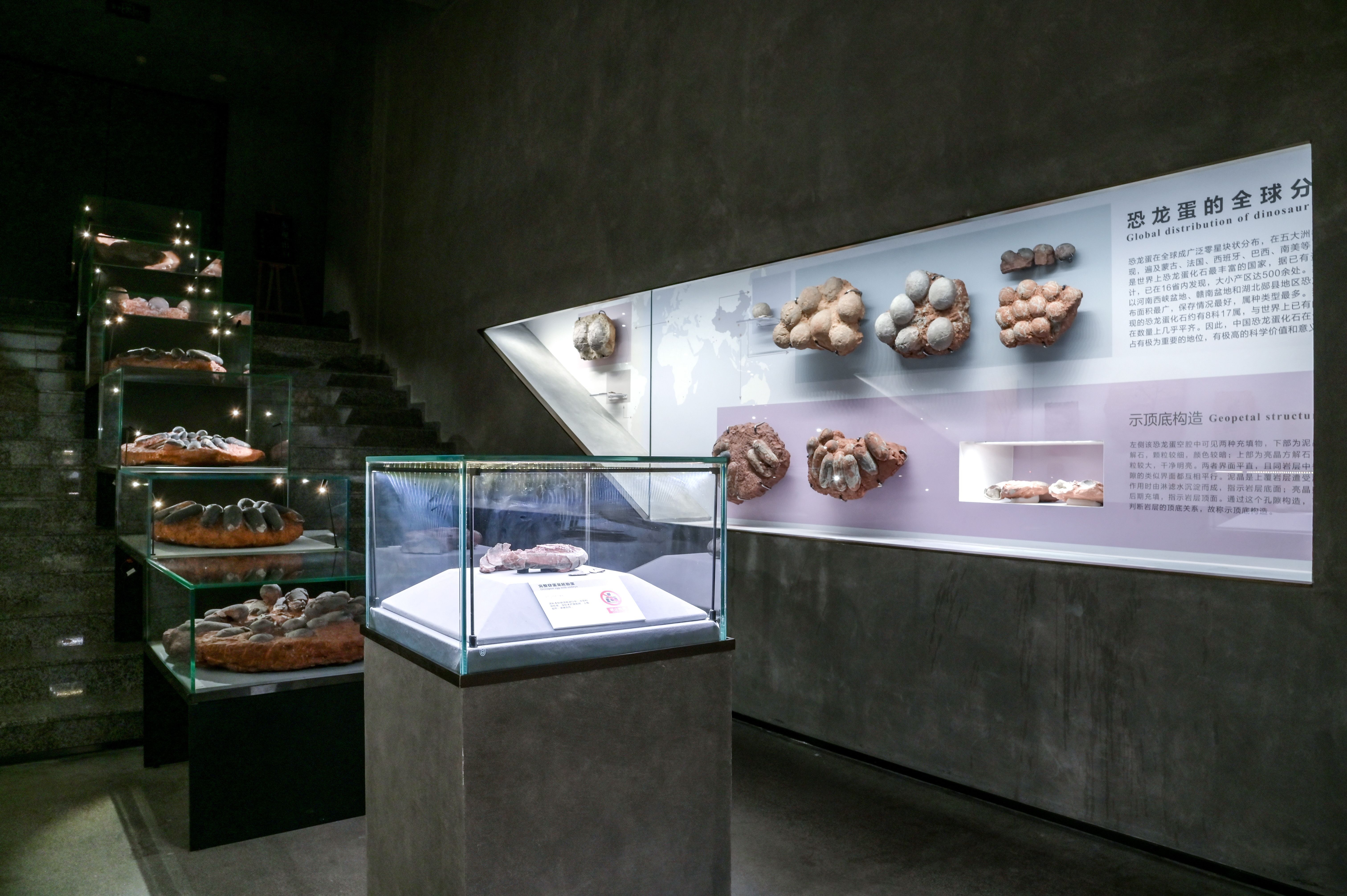 1640056073658364.jpg?x-oss-process=style/w10 微信图片_20211221110303.jpg?x-oss-process=style/w10