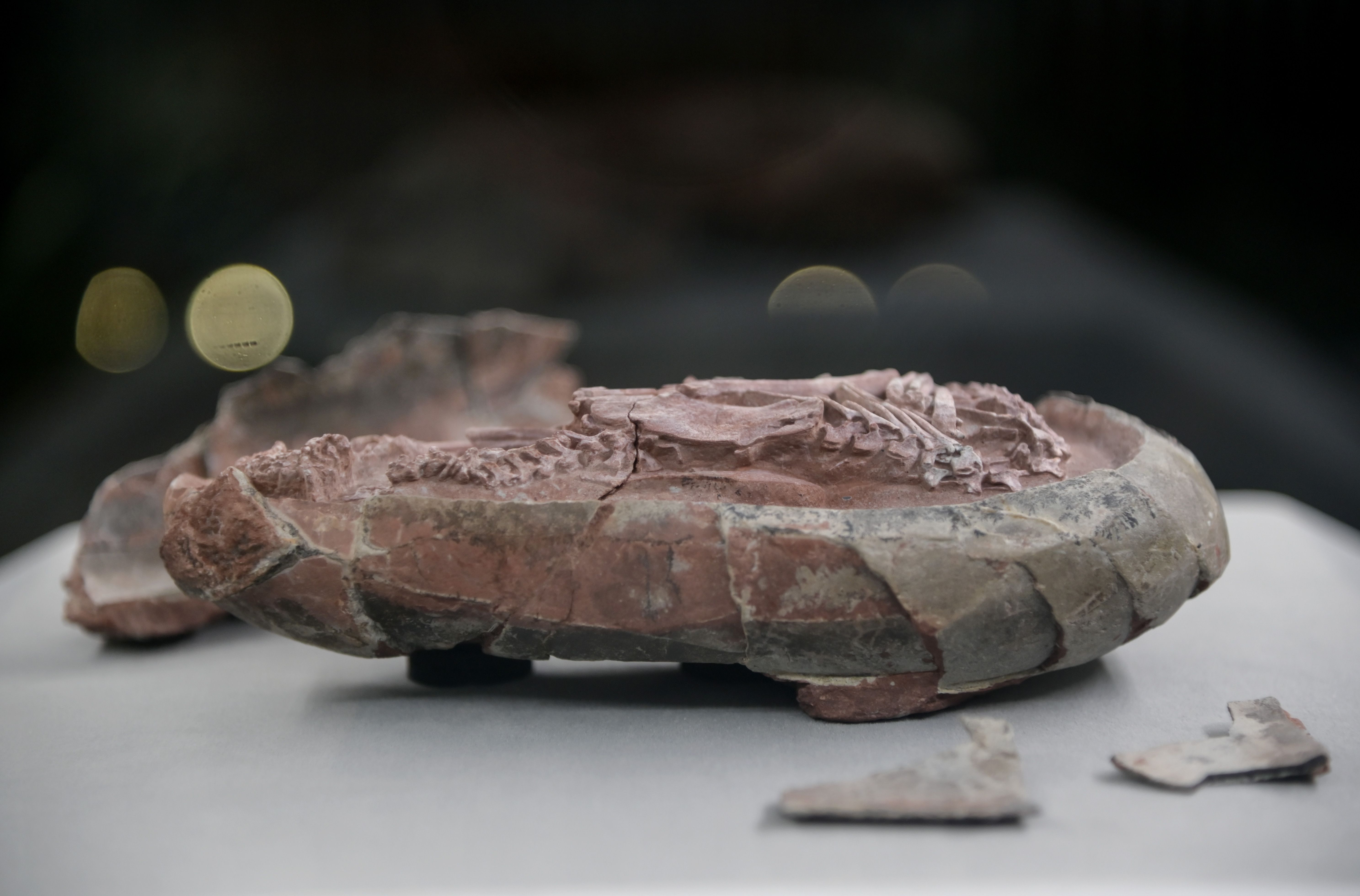 1640056059855027.jpg?x-oss-process=style/w10 微信图片_20211221110250.jpg?x-oss-process=style/w10