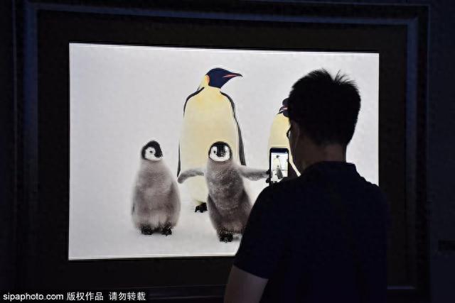 中秋国庆游京郊|打卡“北京网红打卡地”——顺义区篇