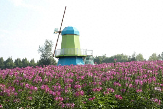 中秋国庆游京郊|打卡“北京网红打卡地”——顺义区篇