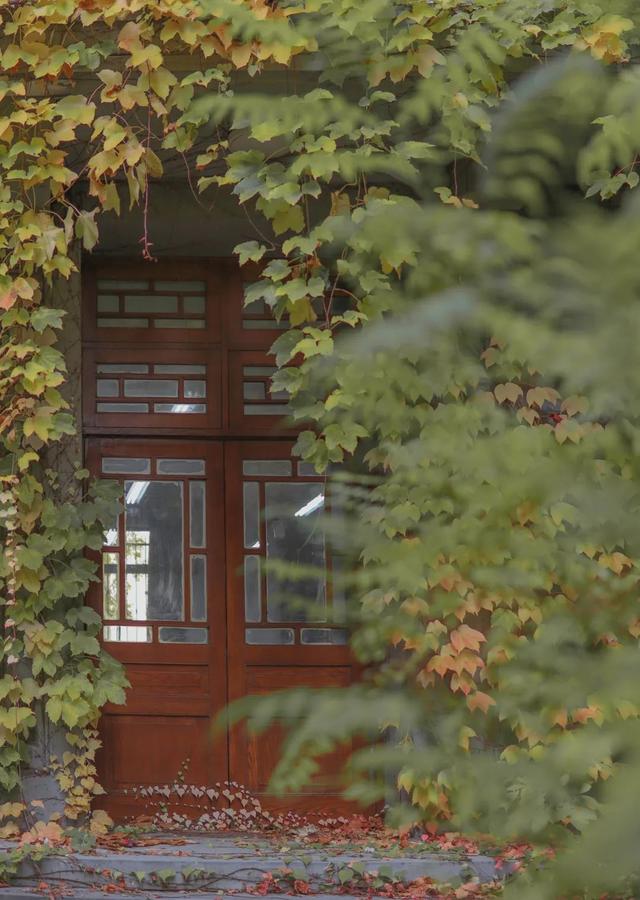 每当有人说没有什么是“完美”的,我说……