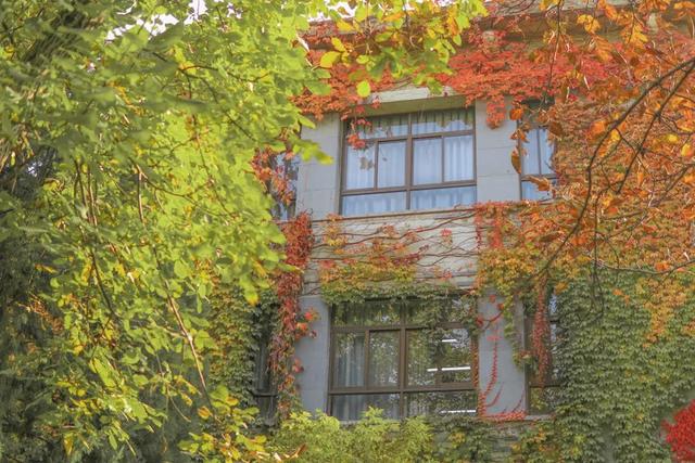 每当有人说没有什么是“完美”的,我说……