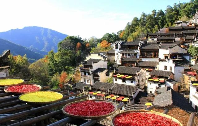 岁岁重阳,暖出“新花YOUNG”!