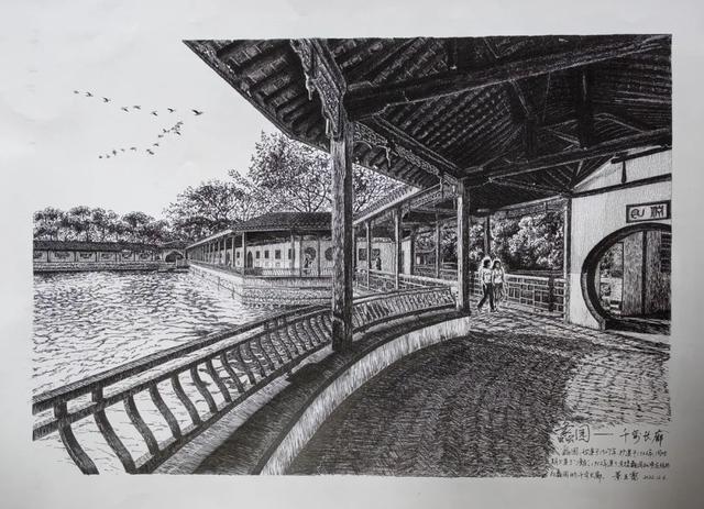 岁岁重阳,暖出“新花YOUNG”!