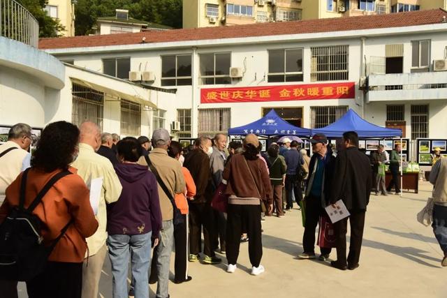 岁岁重阳,暖出“新花YOUNG”!