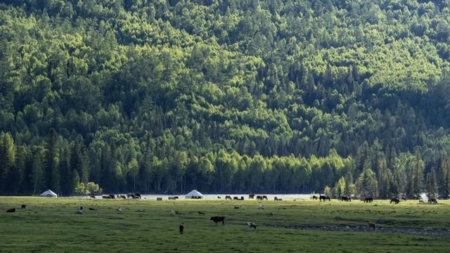 岁岁重阳,暖出“新花YOUNG”!