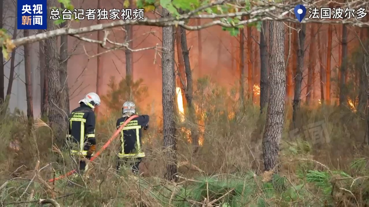 法国林火逼近波尔多市区记者亲历灭火现场