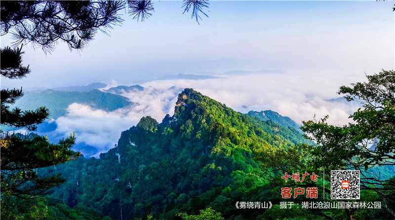 DSC03304雾绕青山