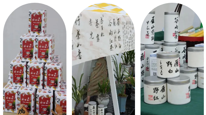 微信图片_20240830113259.png