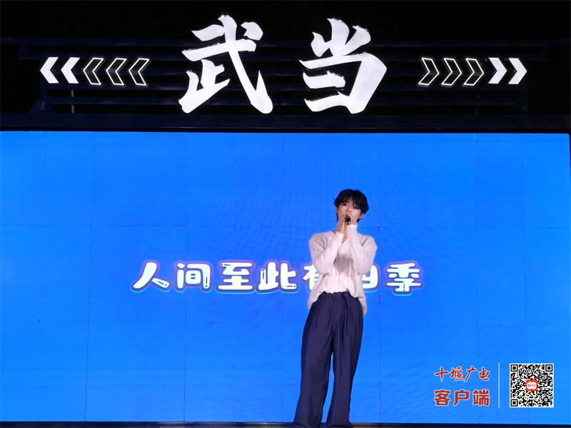 图片8