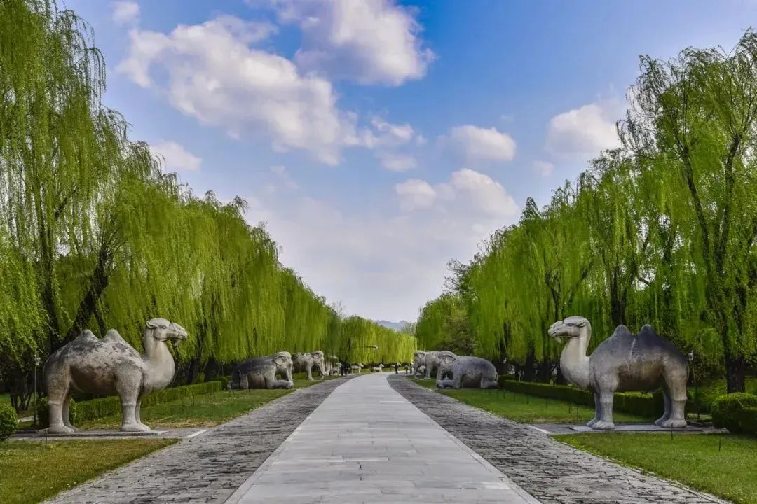 微信图片_20241013150403.jpg