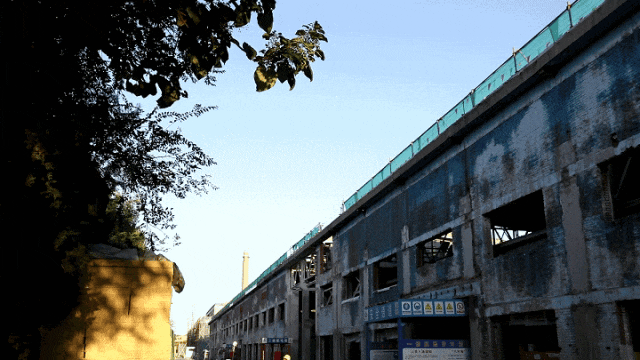 微信图片_20241231185733.gif