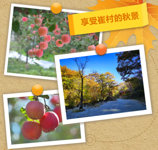 微信图片_20241017155641.png