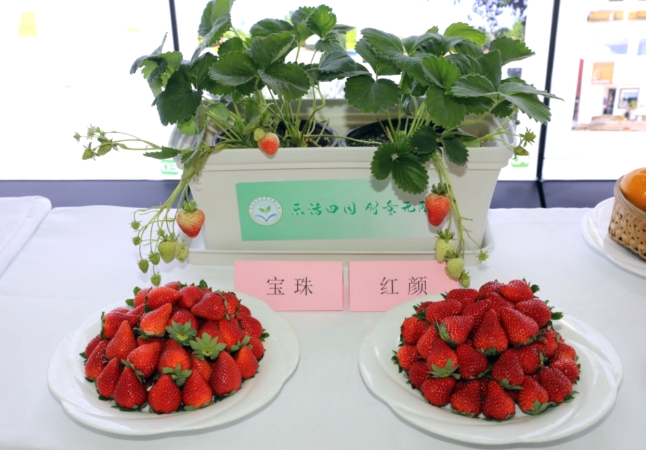 微信截图_20241026130316.jpg