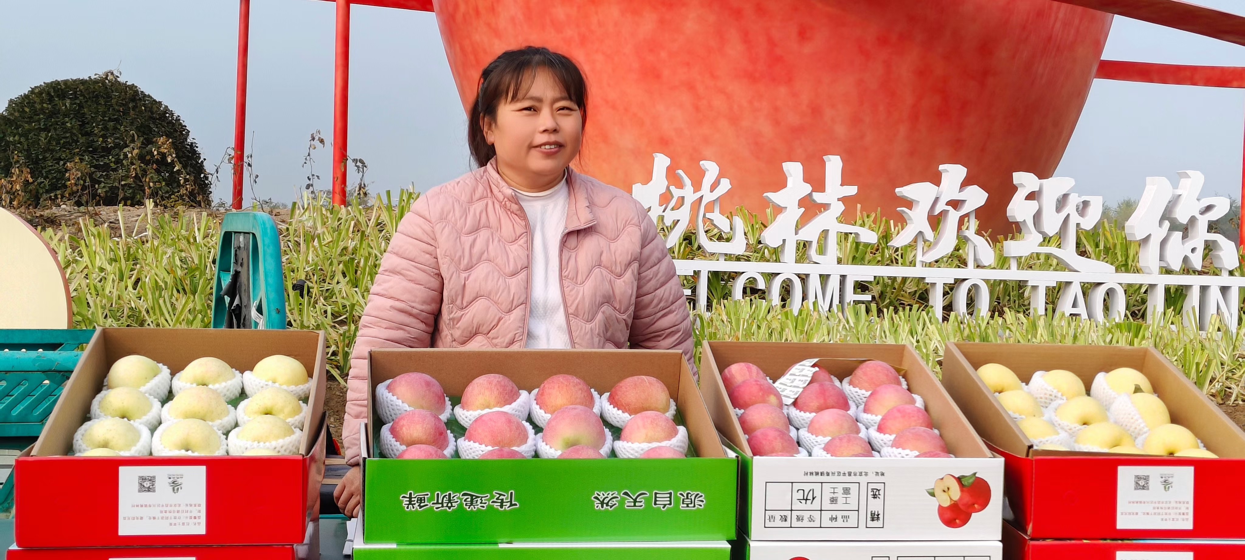微信图片_20241102135050.jpg
