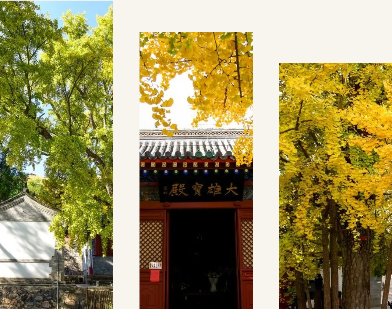 微信图片_20241103131040.png