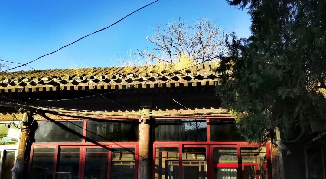 “中国营造学社”创始人朱启钤先生与他“学社”的旧居