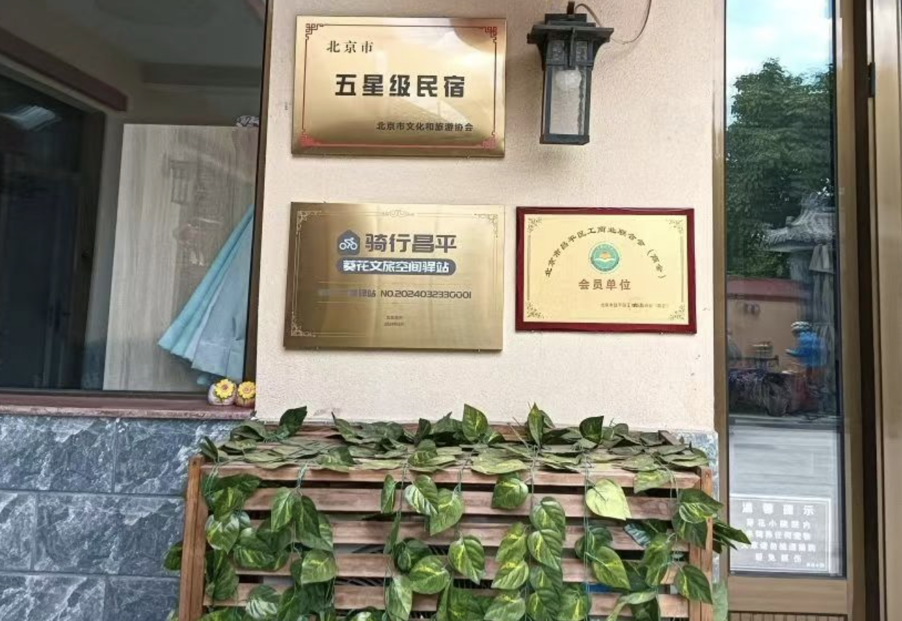 截屏2024-11-24 17.36.06.png
