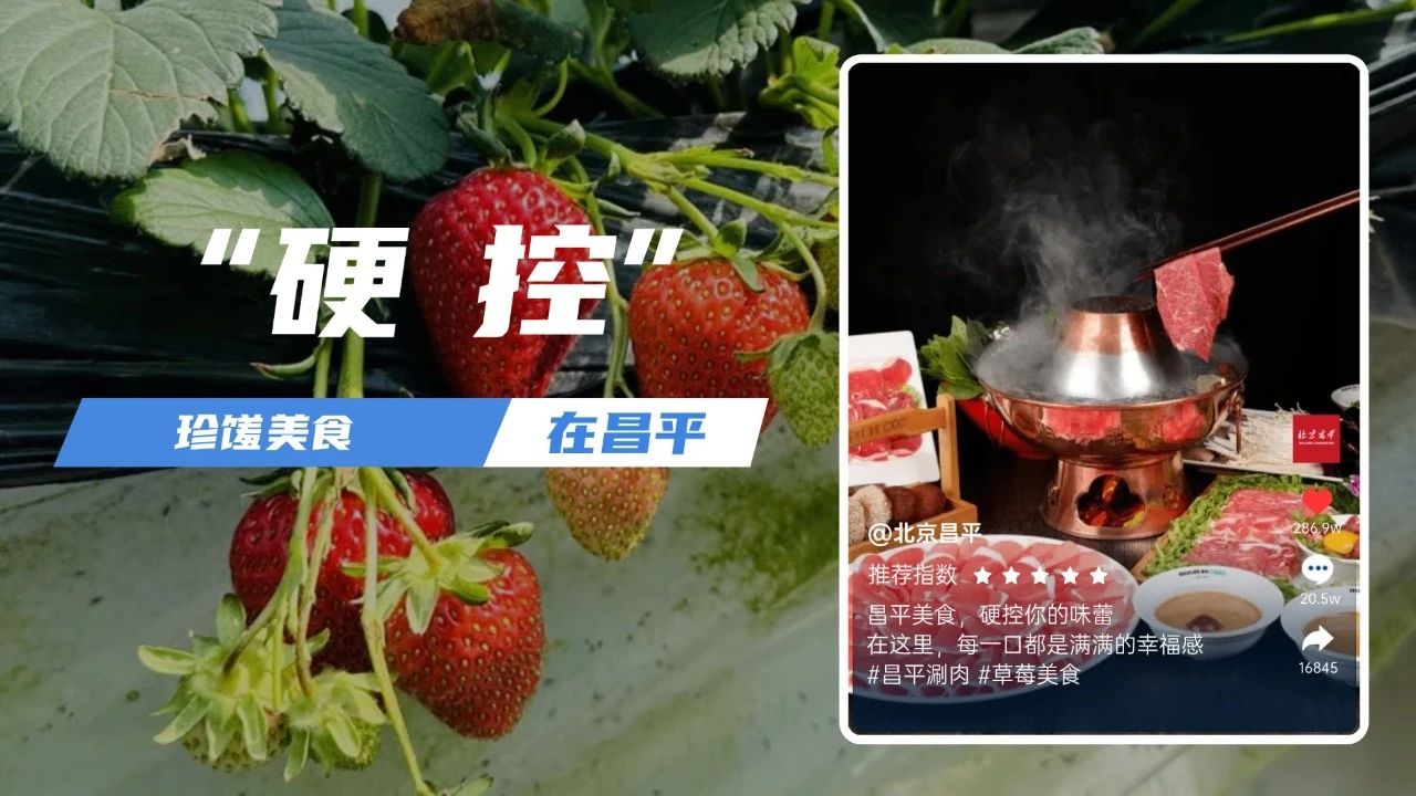 微信图片_20241204162105.jpg