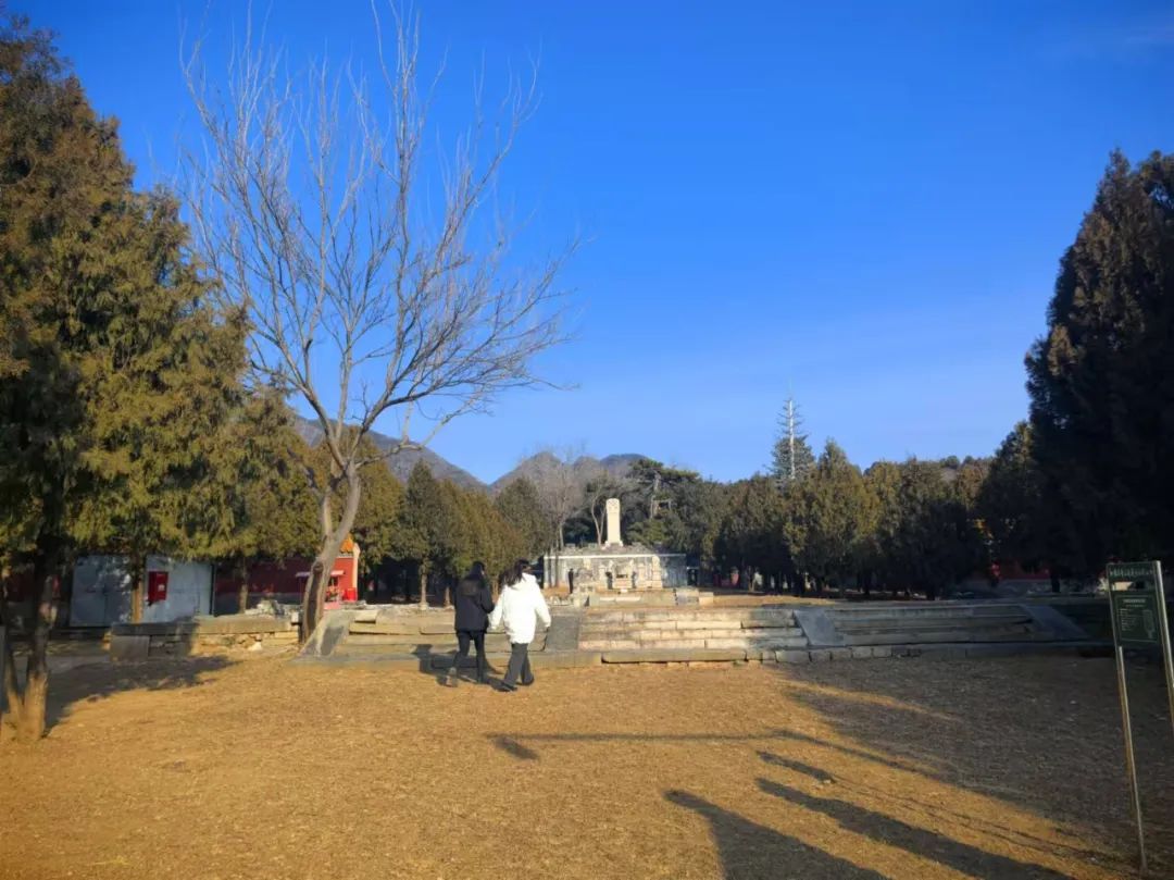 微信图片_20241213152828.jpg