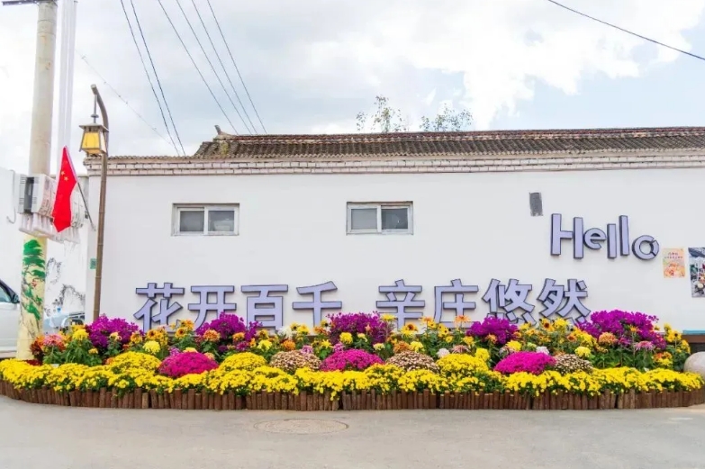 微信截图_20241215144133.png