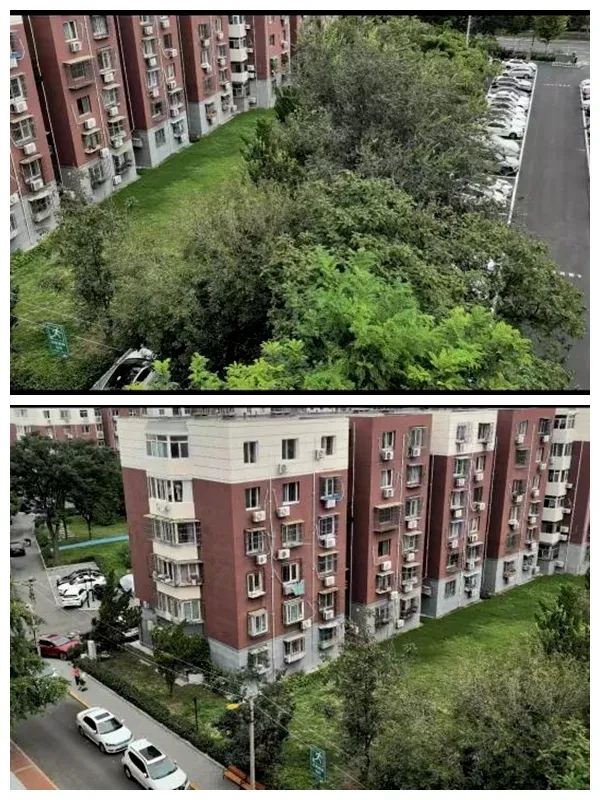 微信图片_20241215152932.jpg